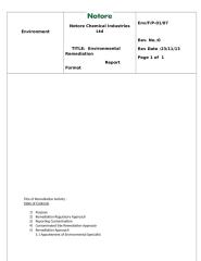 Environmental Remediation Report Format.docx